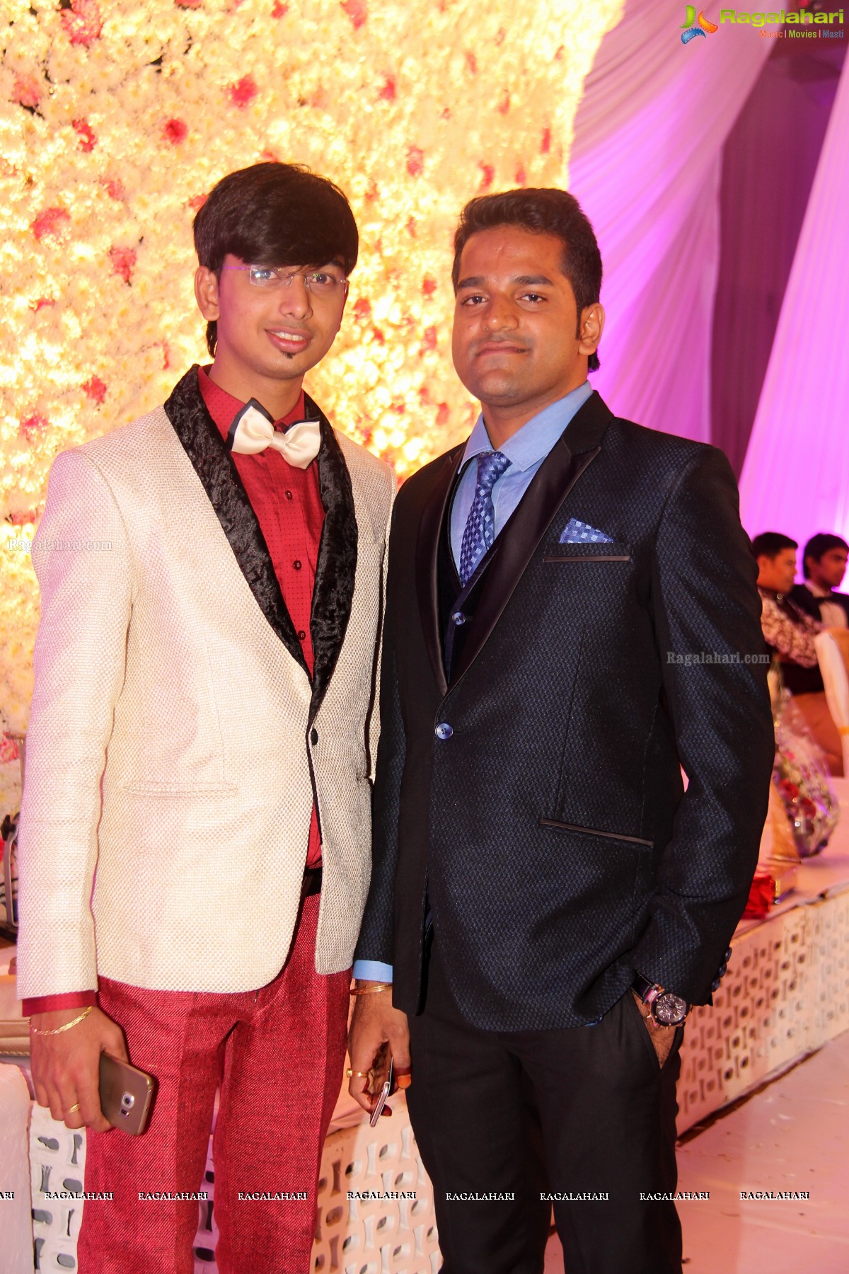 Grand Wedding Reception of Madhuri-Abhishek