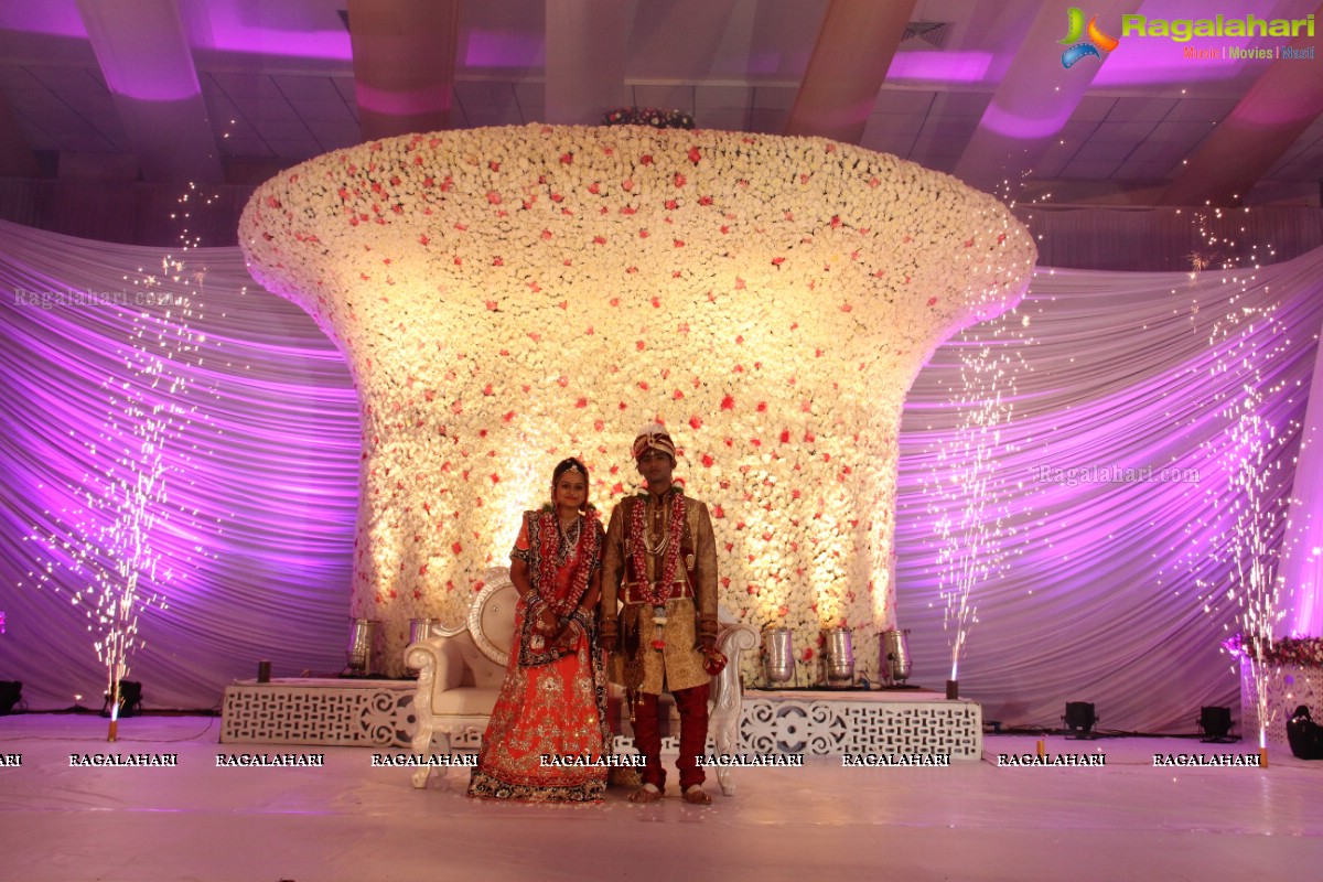 Grand Wedding Reception of Madhuri-Abhishek