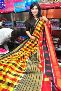 Pochampally IKAT Art Mela