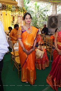 Sanjay-Divya Wedding