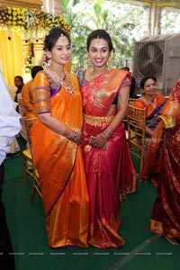 Sanjay-Divya Wedding