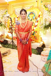 Sanjay-Divya Wedding