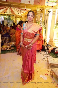 Sanjay-Divya Wedding