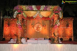 Sonia Majumdar and Abhishek Wedding