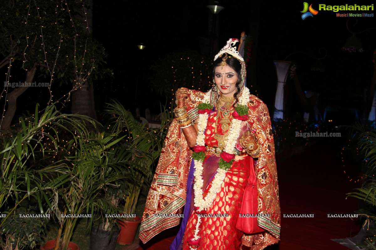 Sonia Majumdar and Abhishek Wedding Ceremony at Taj Banjara, Hyderabad