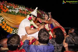 Sonia Majumdar and Abhishek Wedding