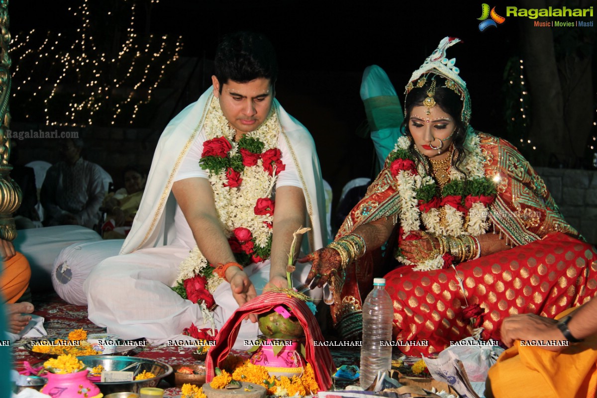 Sonia Majumdar and Abhishek Wedding Ceremony at Taj Banjara, Hyderabad