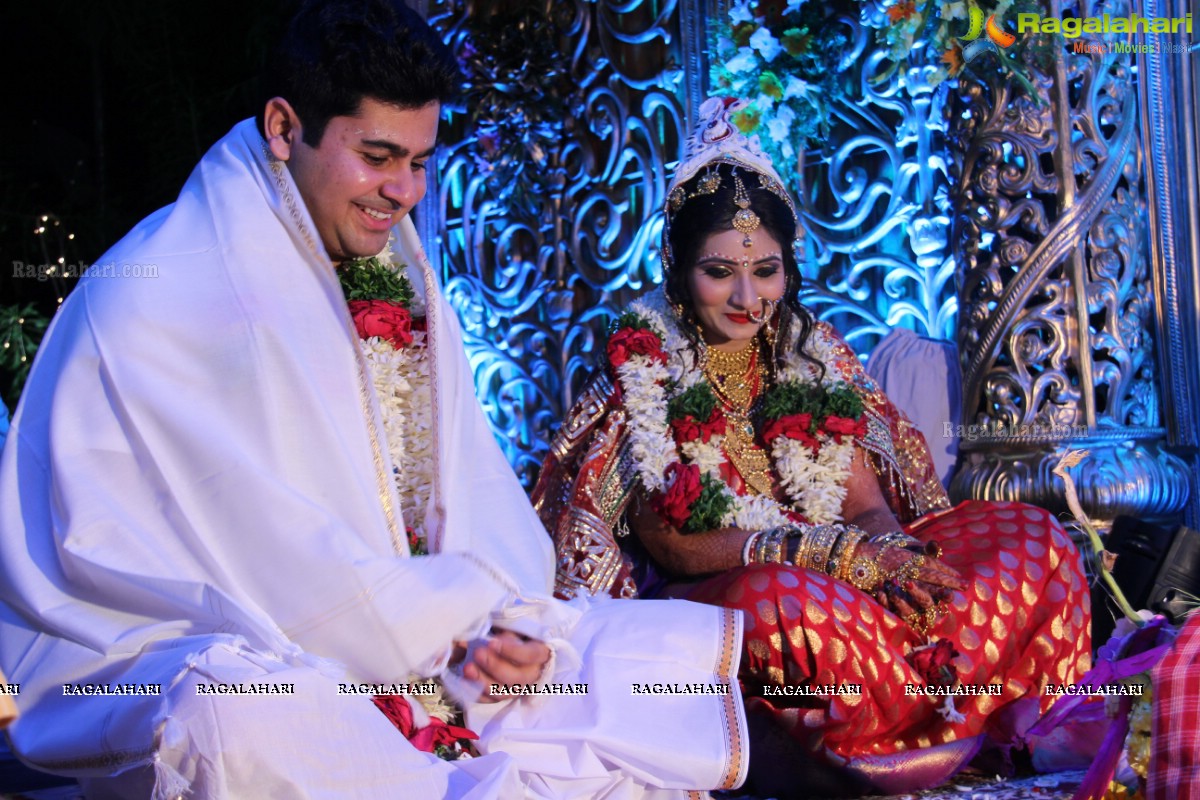 Sonia Majumdar and Abhishek Wedding Ceremony at Taj Banjara, Hyderabad