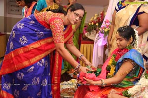 Baby Shower Ceremony of Srujana Reddy