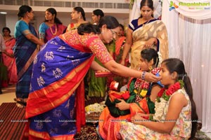 Baby Shower Ceremony of Srujana Reddy