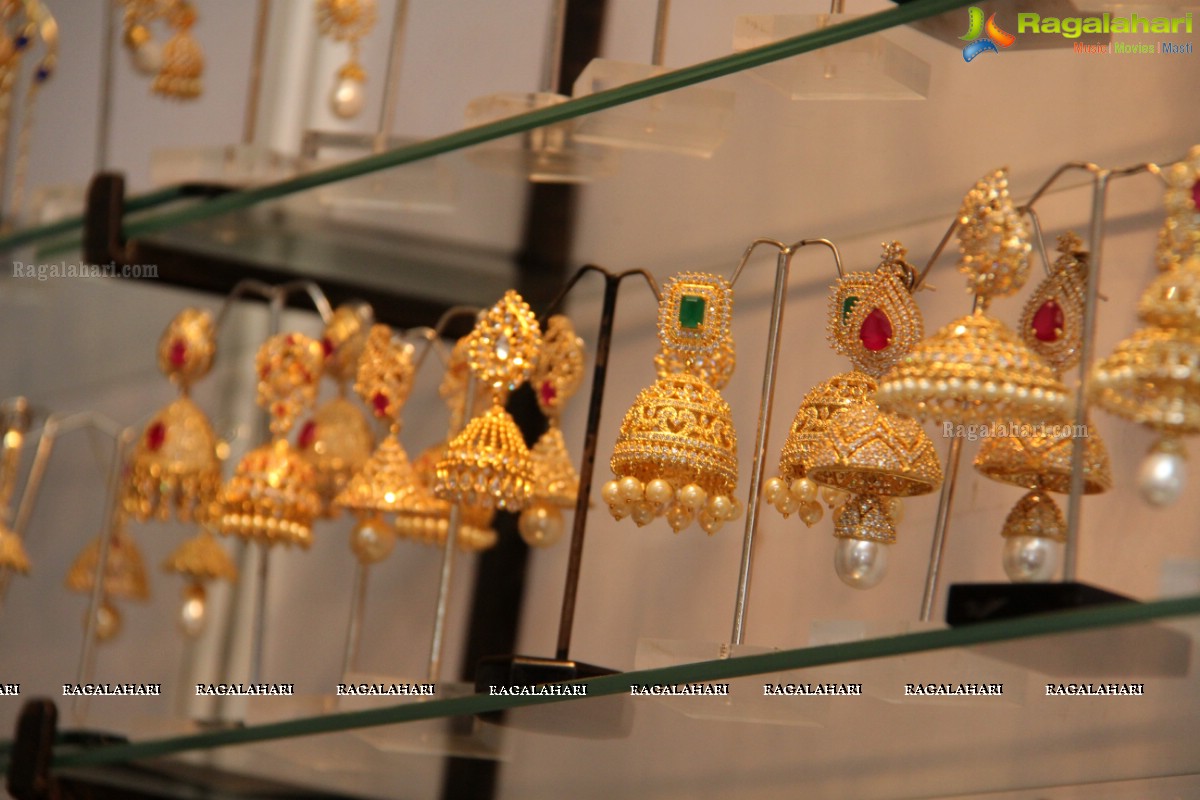 Trendz Exhibition and Sale at Taj Krishna, Hyderabad (Dec. 2015)