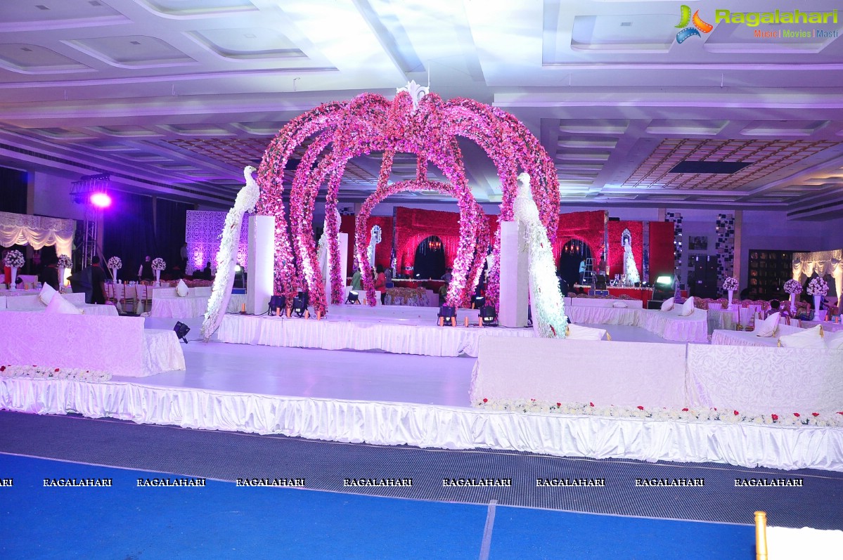 Trupti and Ankit Wedding Reception, Hyderabad