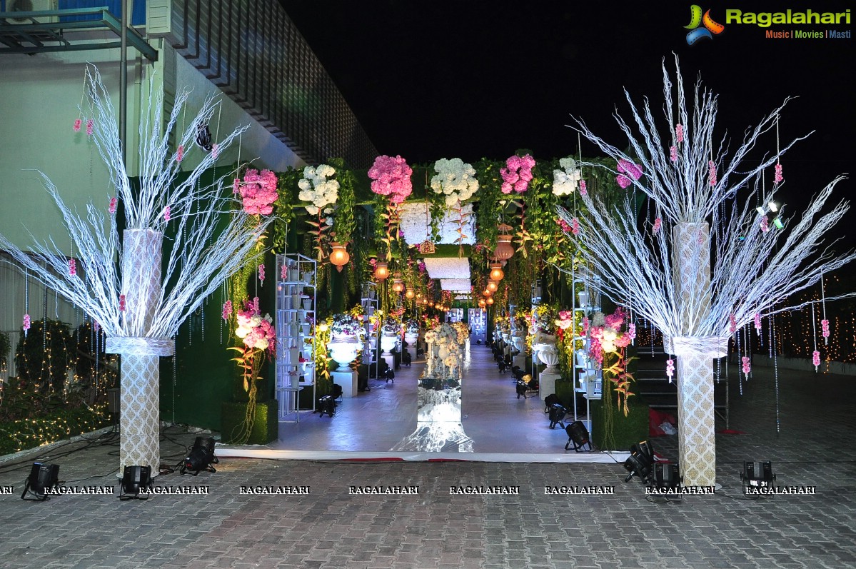 Trupti and Ankit Wedding Reception, Hyderabad