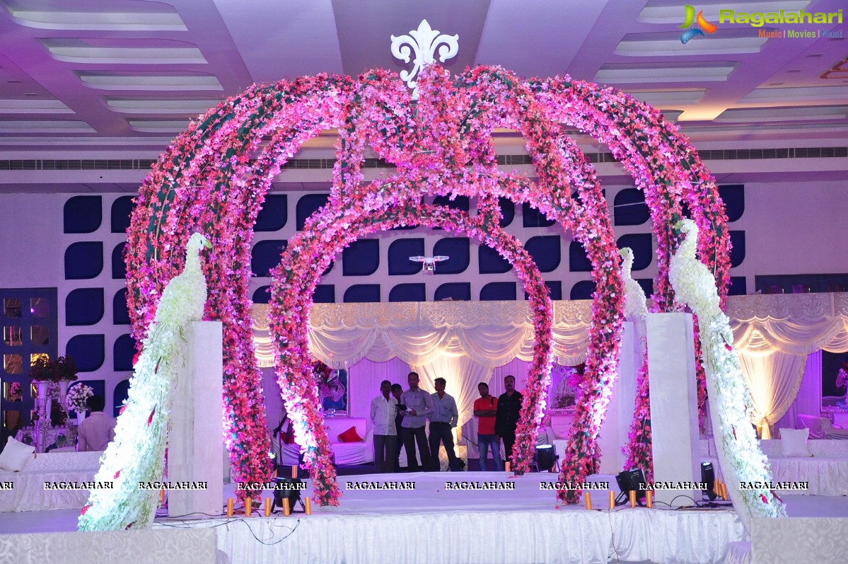 Trupti and Ankit Wedding Reception, Hyderabad