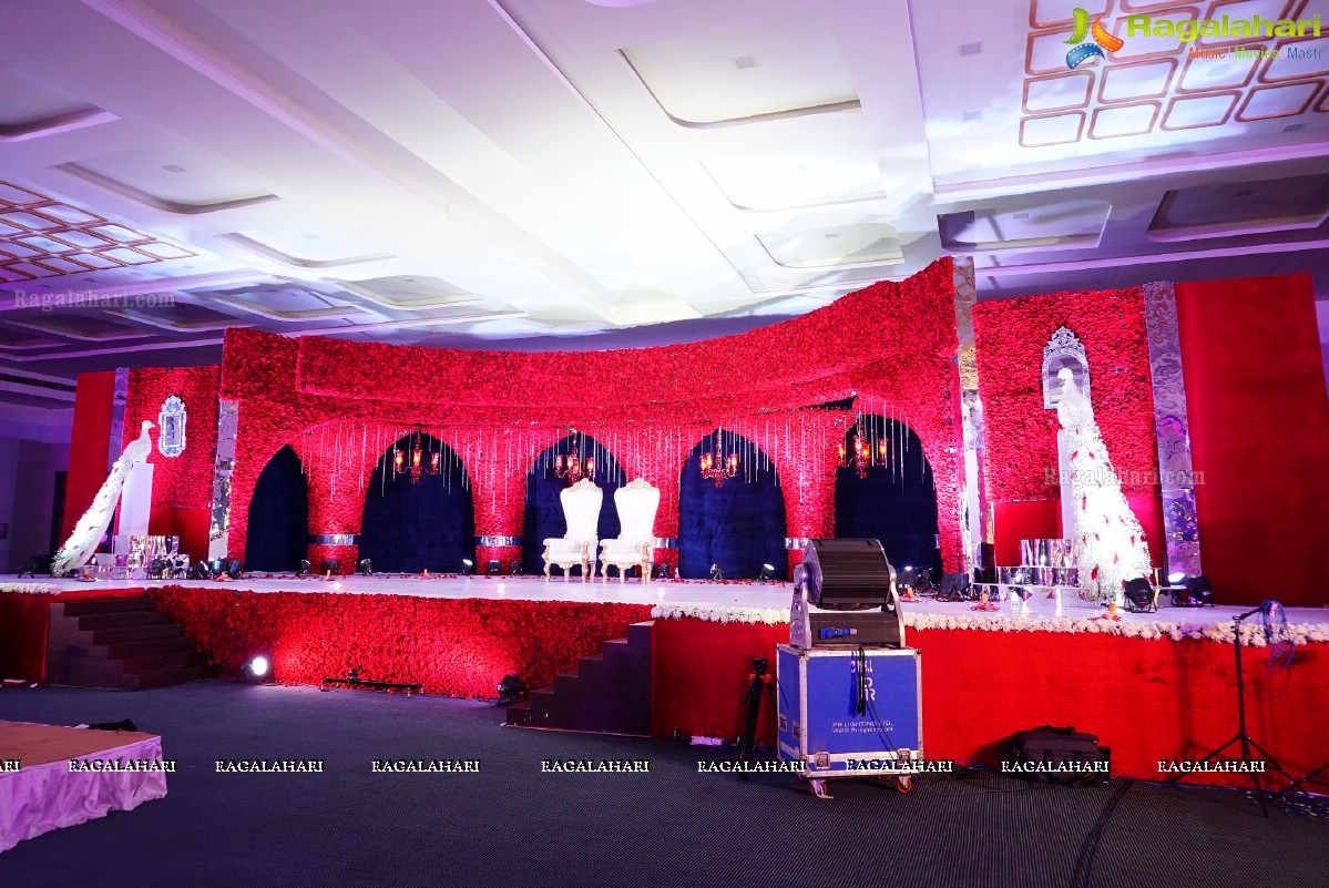 Trupti and Ankit Wedding Reception, Hyderabad