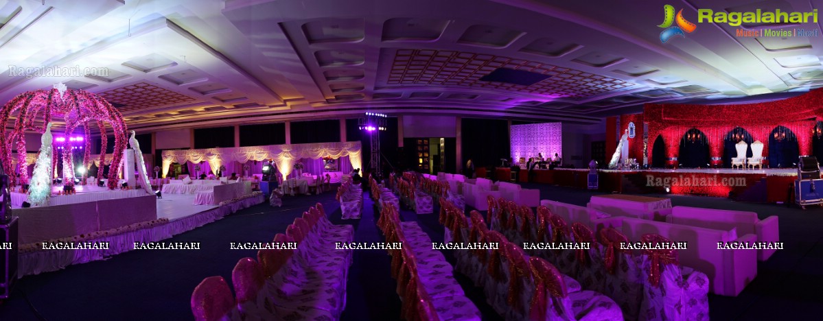 Trupti and Ankit Wedding Reception, Hyderabad