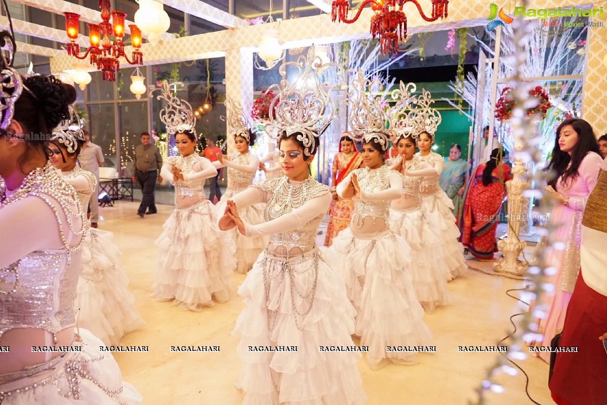 Trupti and Ankit Wedding Reception, Hyderabad