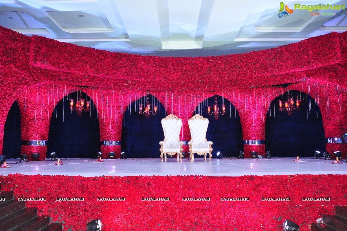 Trupti and Ankit Wedding Reception, Hyderabad