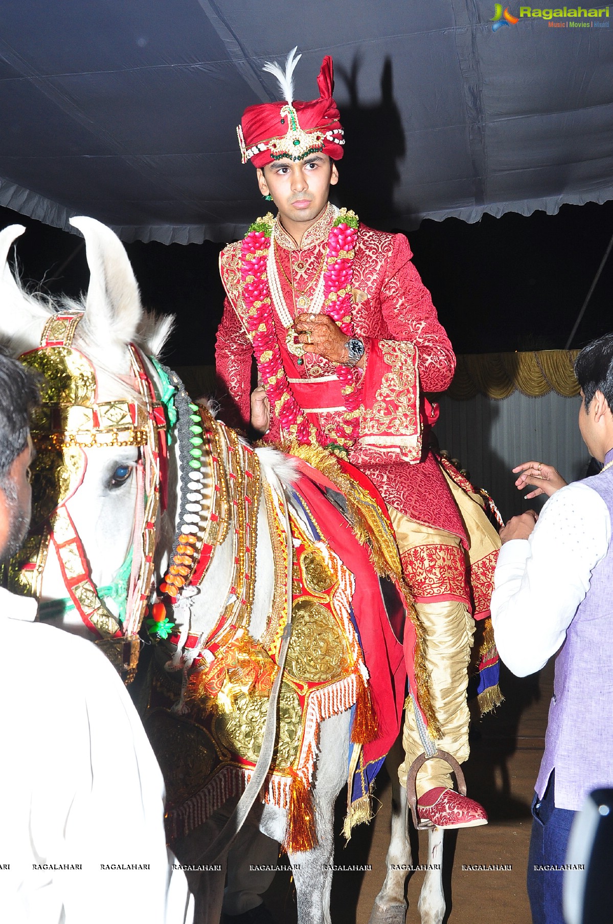 Trupti and Ankit Wedding Reception, Hyderabad