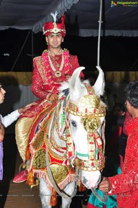 Trupti and Ankit Wedding