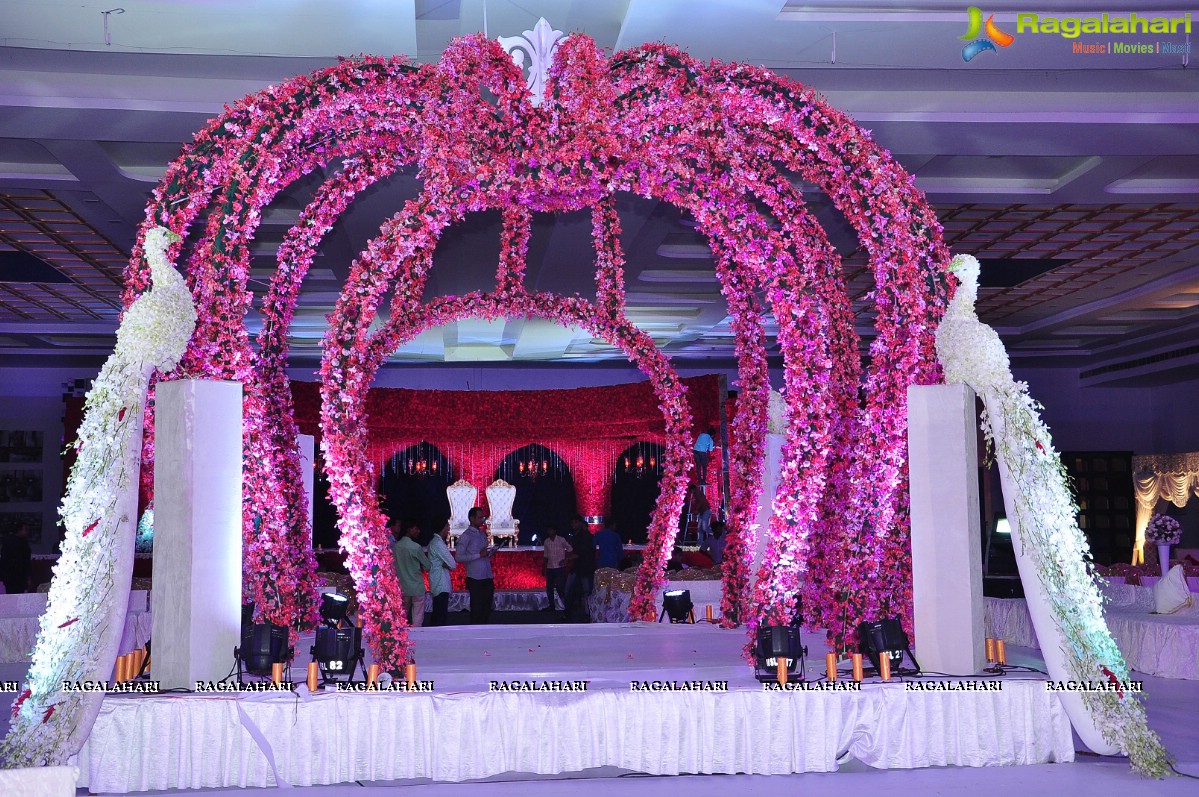 Trupti and Ankit Wedding Reception, Hyderabad