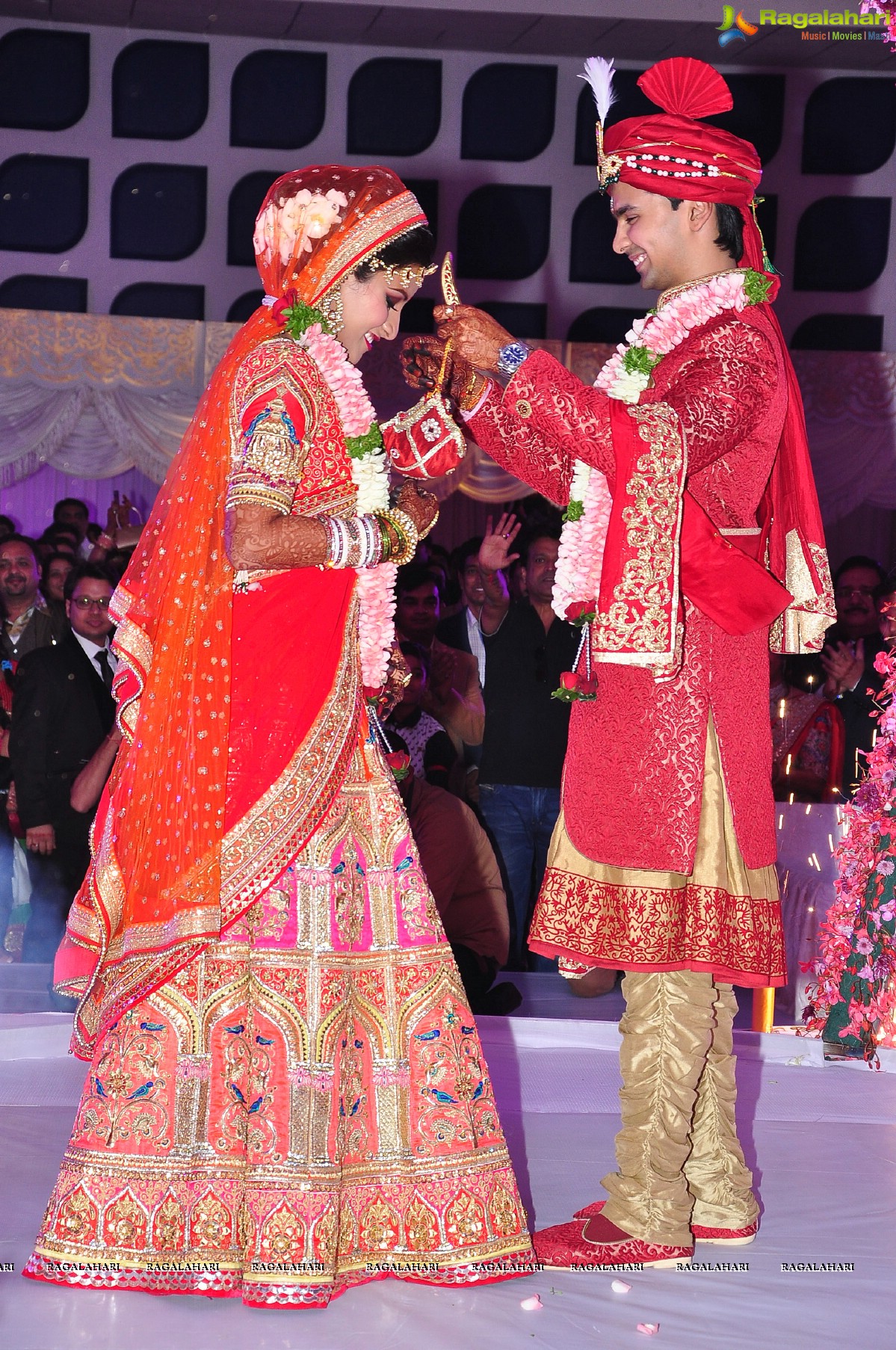 Trupti and Ankit Wedding Reception, Hyderabad