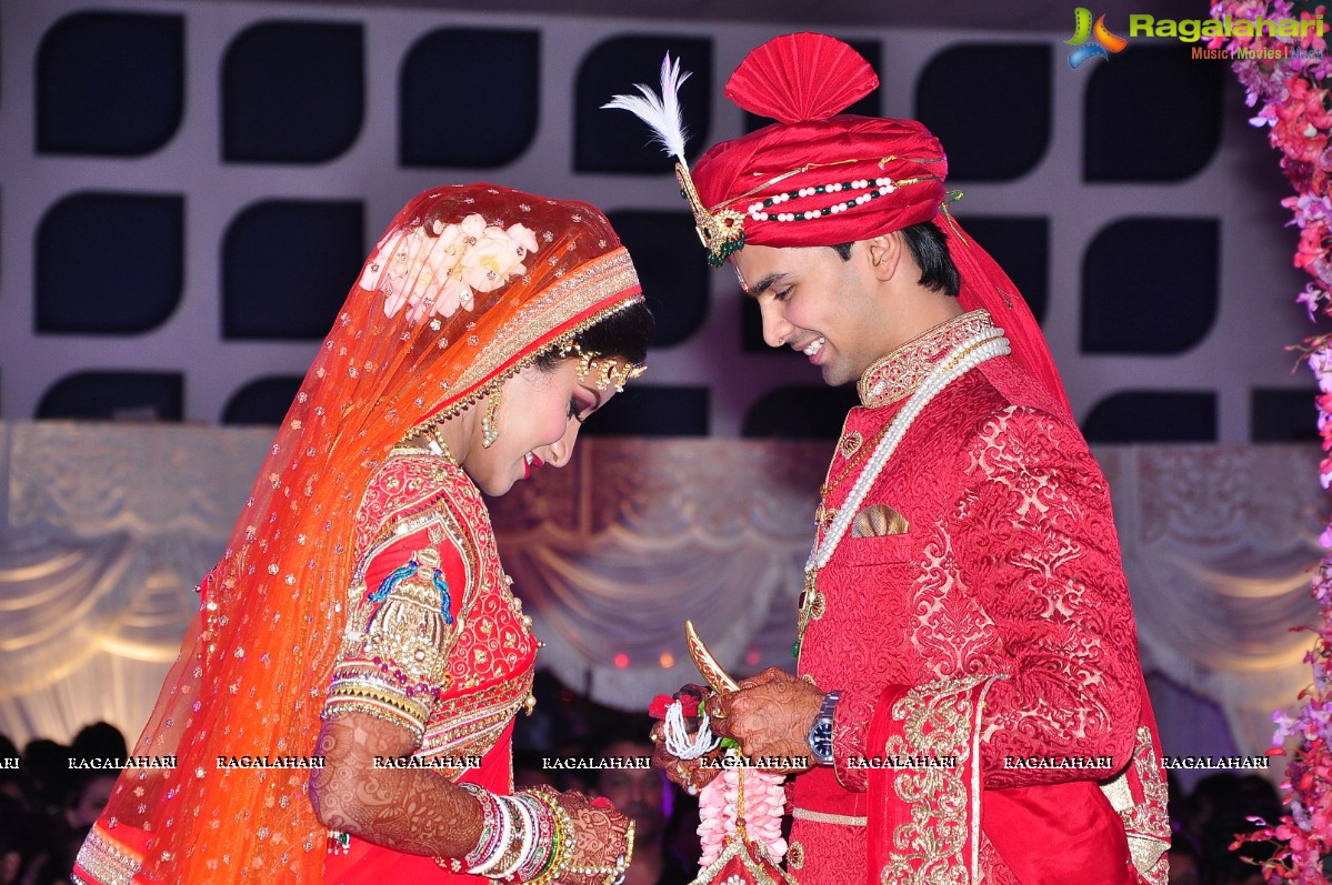 Trupti and Ankit Wedding Reception, Hyderabad