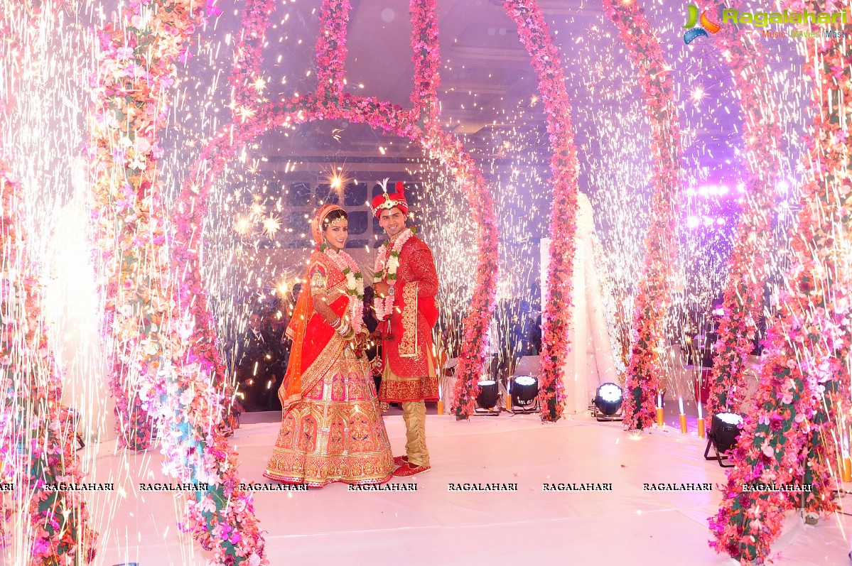 Trupti and Ankit Wedding Reception, Hyderabad