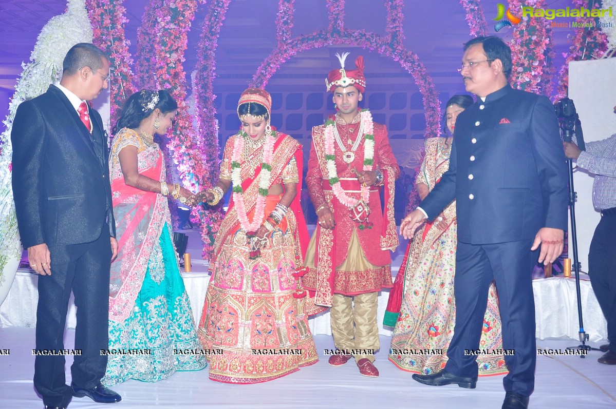 Trupti and Ankit Wedding Reception, Hyderabad