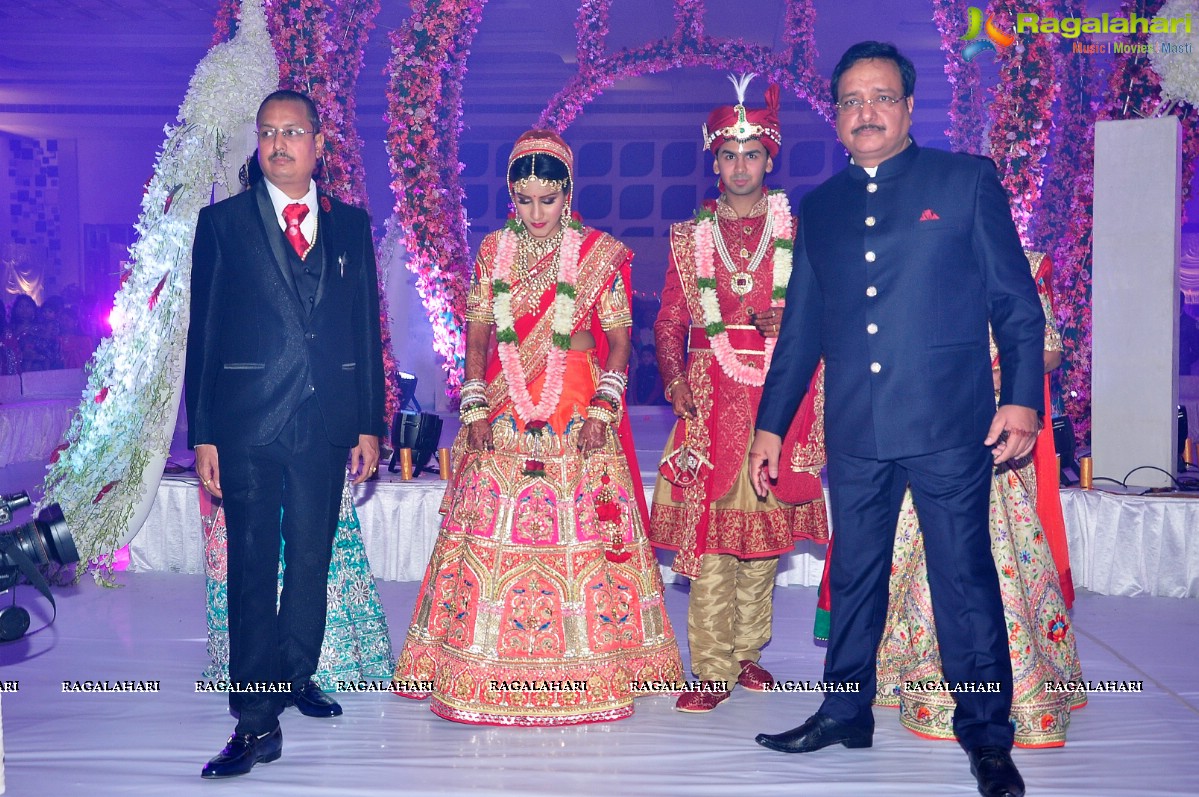 Trupti and Ankit Wedding Reception, Hyderabad