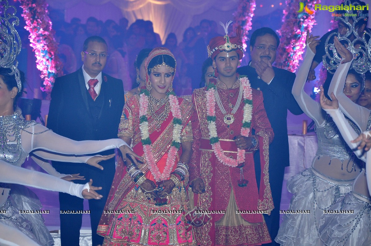 Trupti and Ankit Wedding Reception, Hyderabad