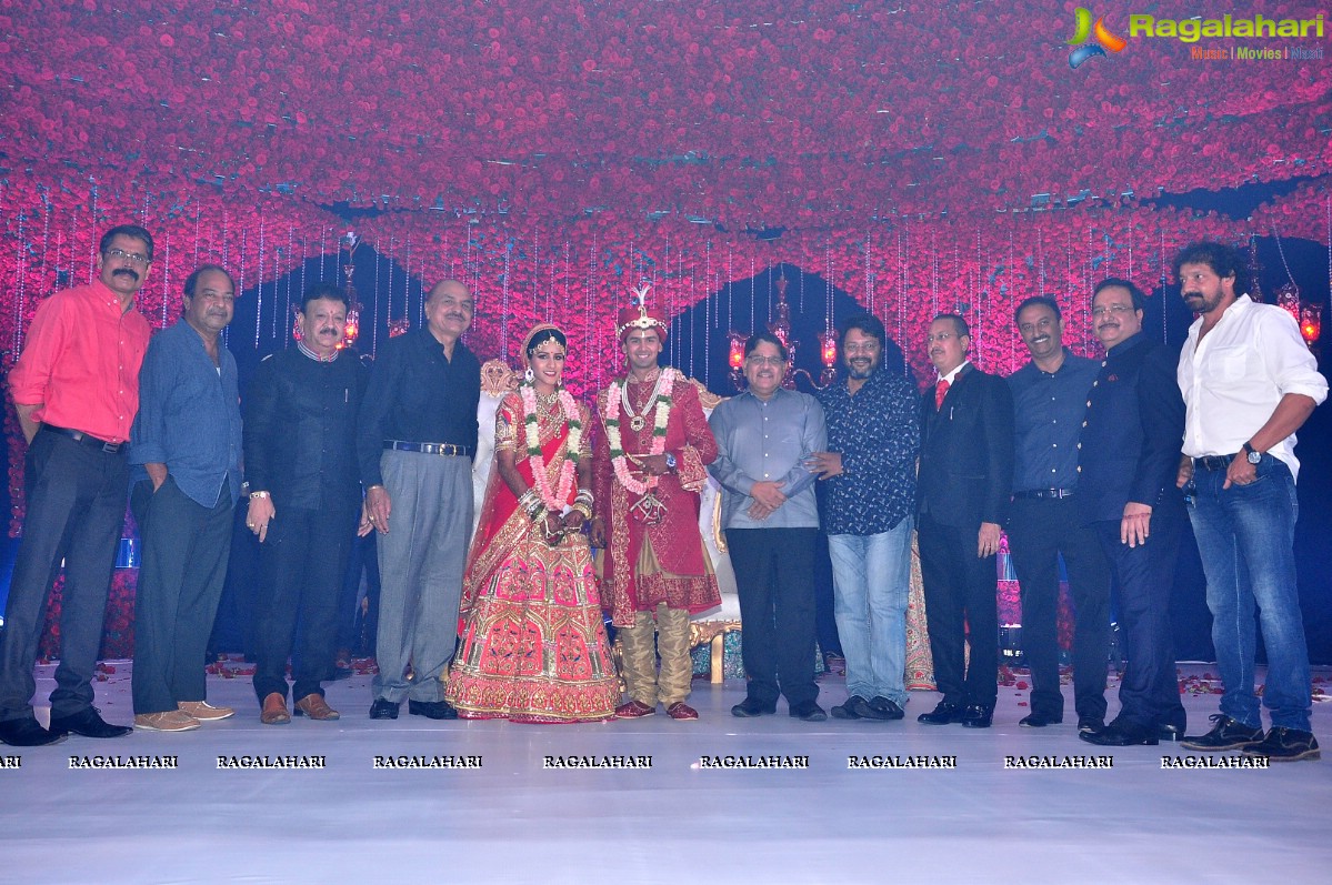 Trupti and Ankit Wedding Reception, Hyderabad