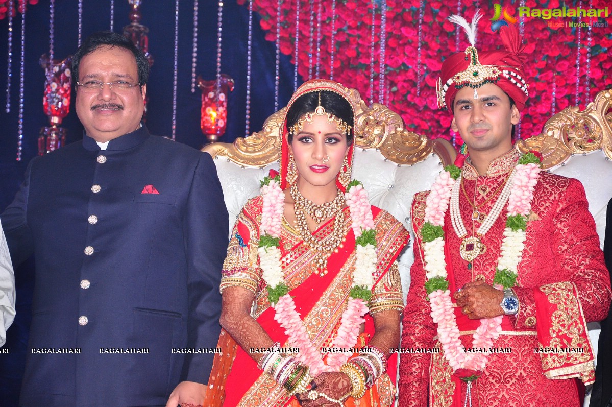 Trupti and Ankit Wedding Reception, Hyderabad