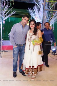 Trupti and Ankit Wedding