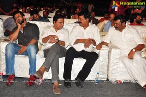 Dhruva Pre-Release Function