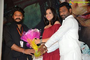 HBD Audio Release