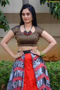 Nenostha Press Meet