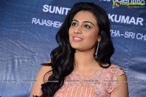 Srivalli Teaser Launch