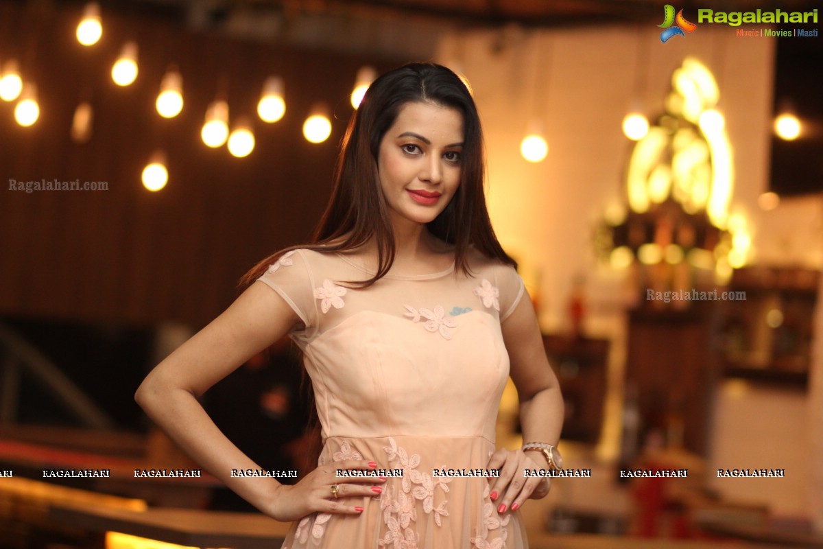 Diksha Panth Birthday Party at F Club