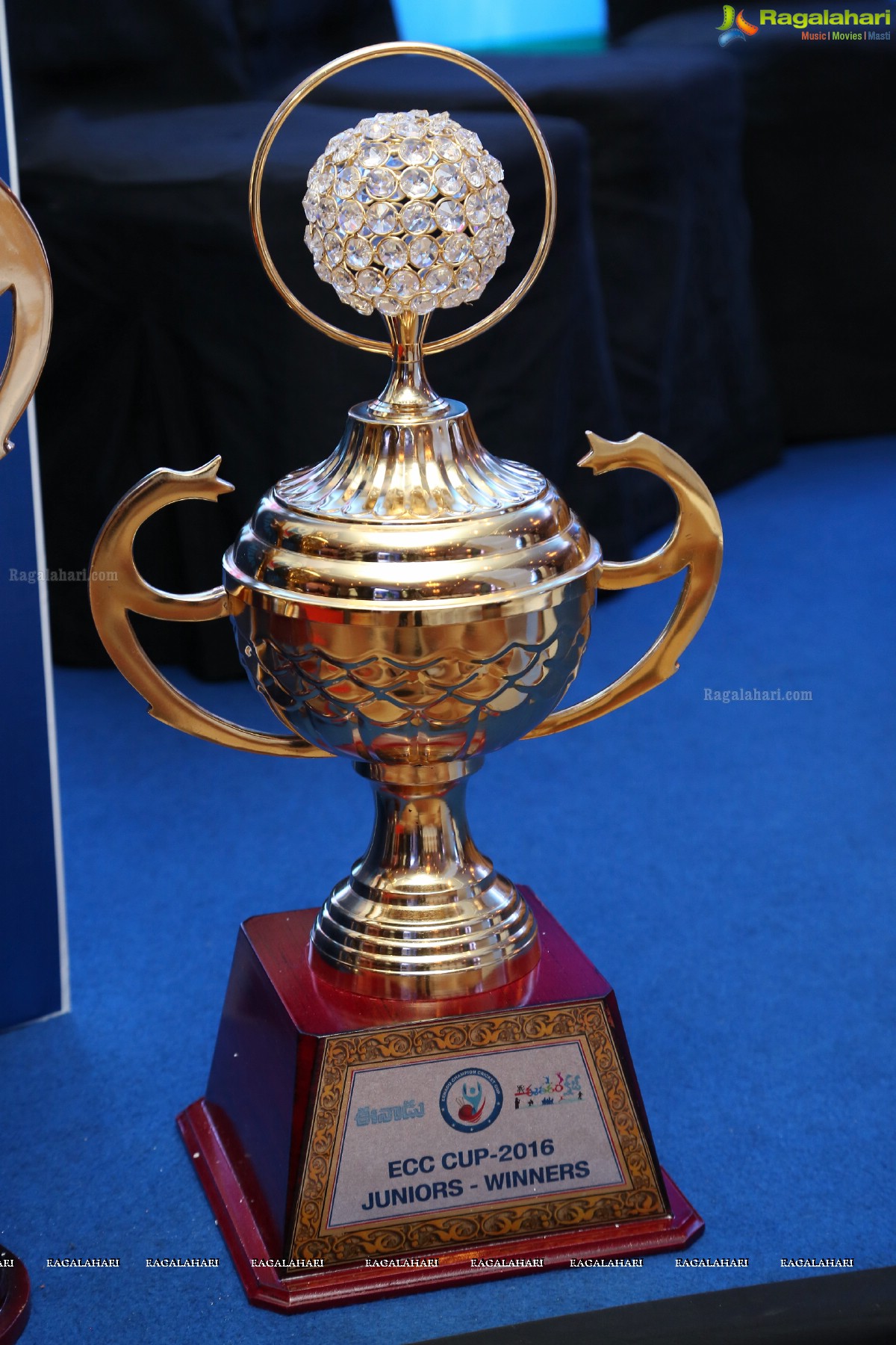 Eenadu Champion Cricket Cup 2016 Launch