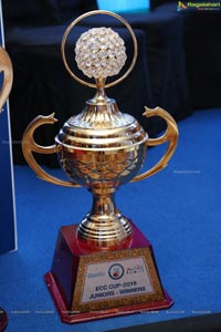 Eenadu Champion Cricket Cup