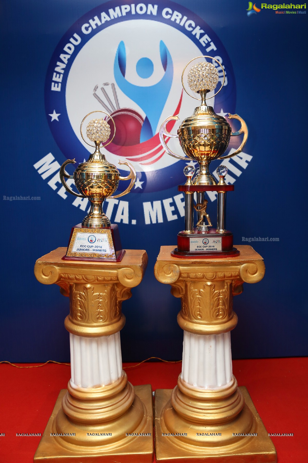 Eenadu Champion Cricket Cup 2016 Launch