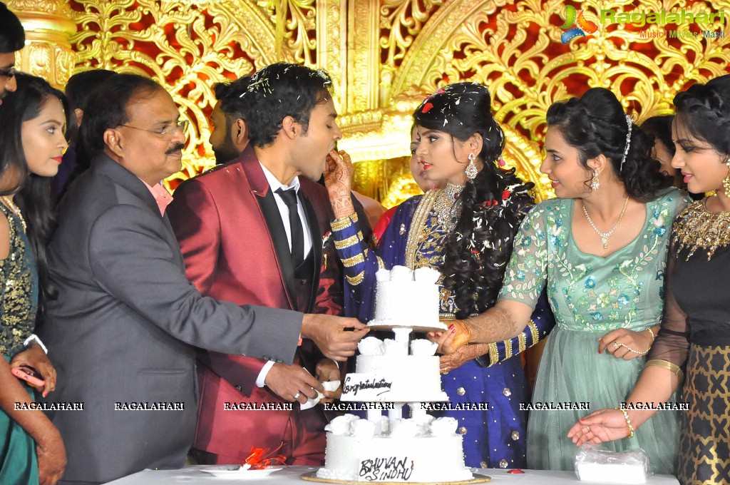 Producer Krishna Reddy Son Wedding Reception