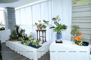 Ikebana Exhibition