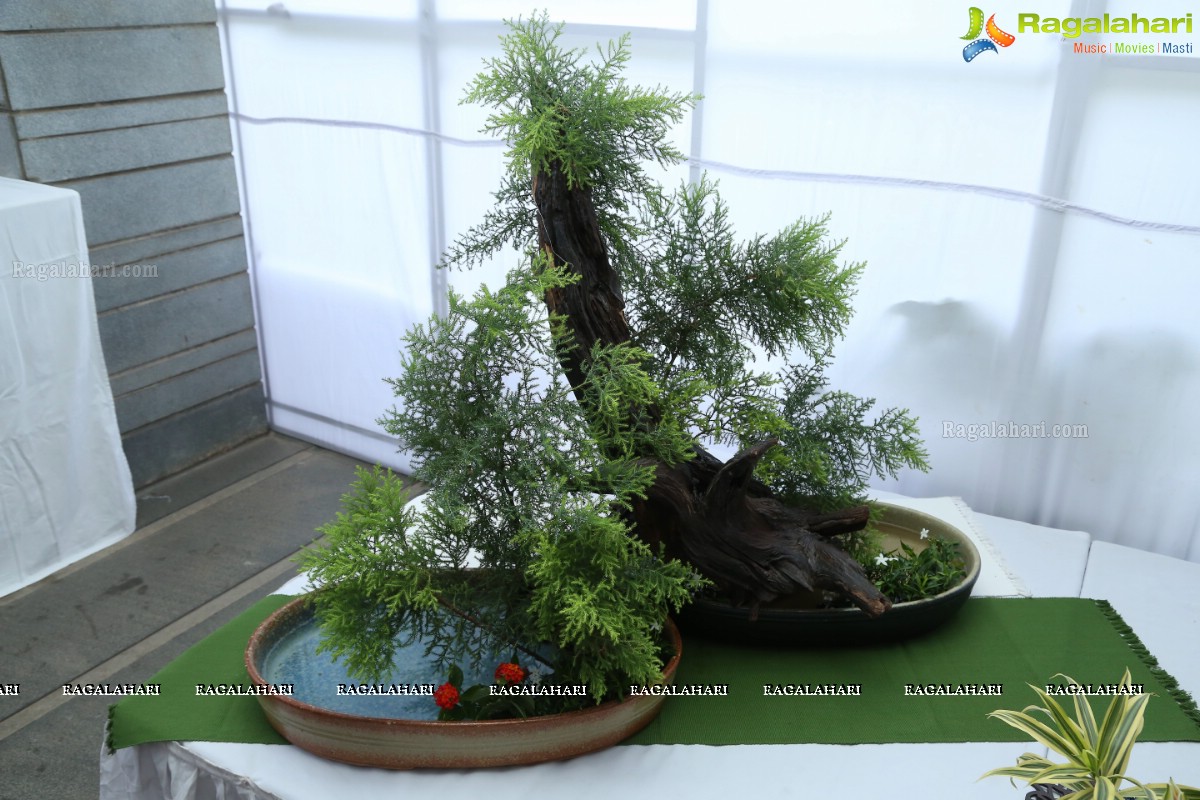 Ohara School of Hyderabad Presents Ikebana Exhibition by Nirmala Agarwal, D Padma and Vijay Durga