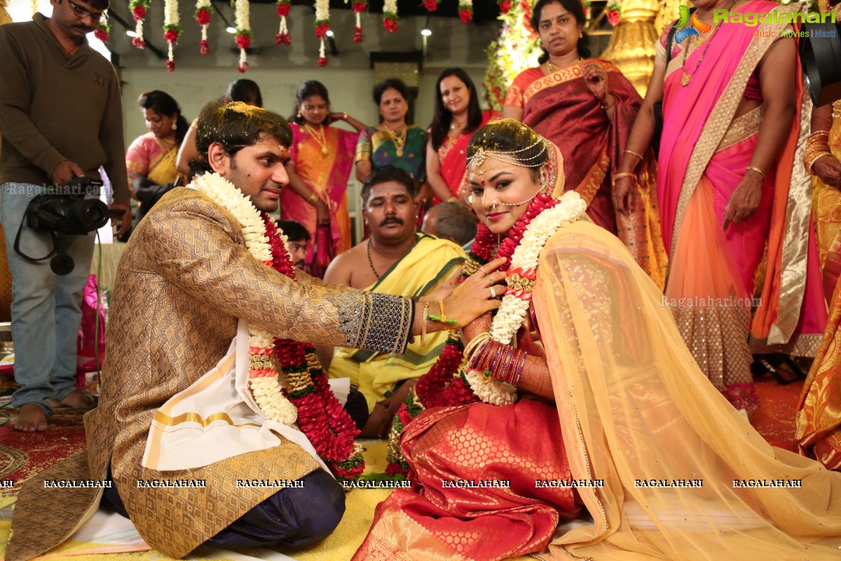 Producer Raghavendra Reddy Daughter Meghana Wedding Ceremony