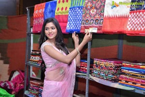 Pochampally IKAT Art Mela