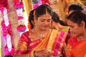 Vinayak and Veena Wedding