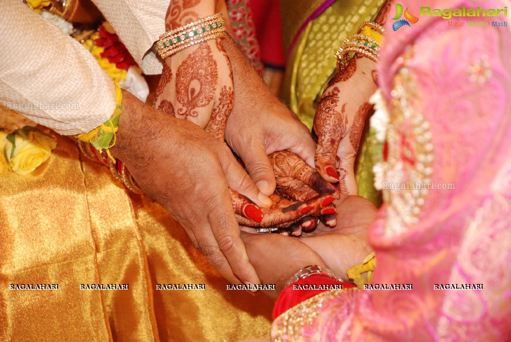 Grand Wedding Ceremony of Vijay Karan-Aashna at N Convention, Hyderabad