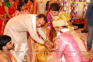 Vijay Karan-Aashna Wedding Photos